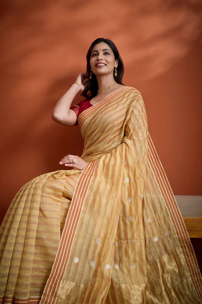 Meera Joshi